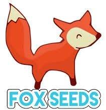 Foxseeds Chambery