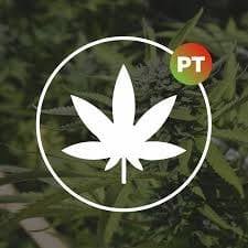 Cannabis Portugal