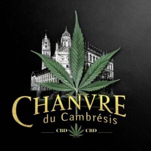 Chanvre du Cambrésis