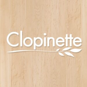 Clopinette Cigarette Électronique