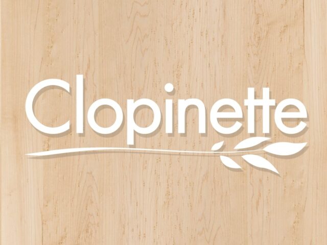 Clopinette Cigarette Électronique