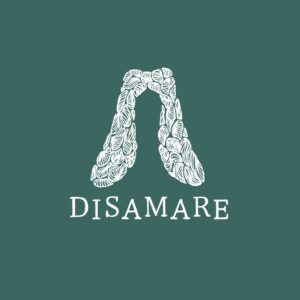 Disamare