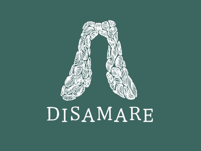 Disamare