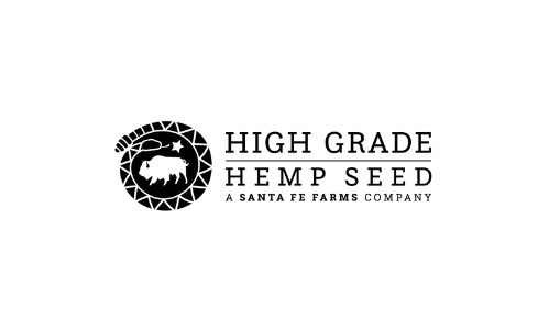 High Grade Hemp Seed