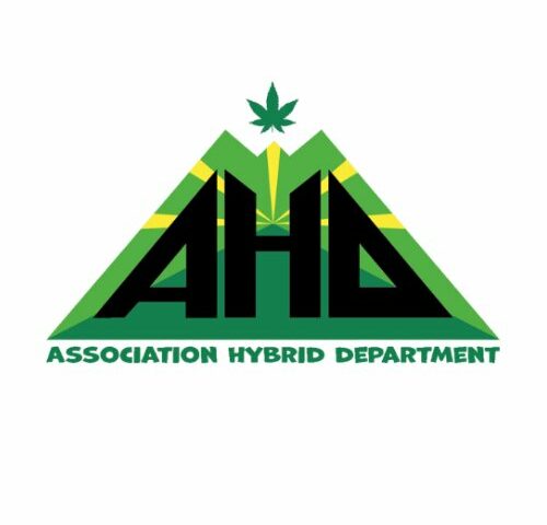 Hybrid Department