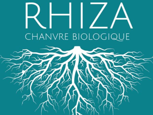 Rhiza