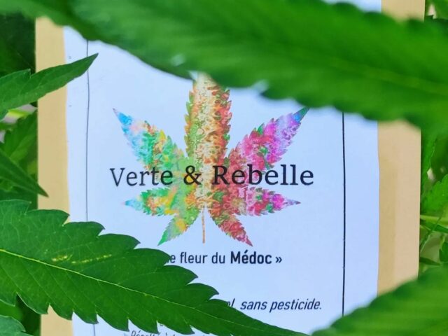 Verte & Rebelle