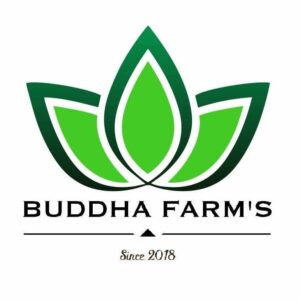 Buddhafarm's