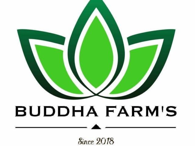 Buddhafarm's