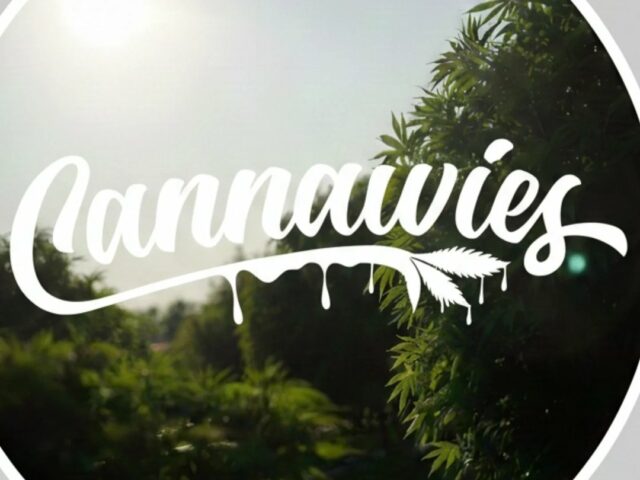 Cannawies