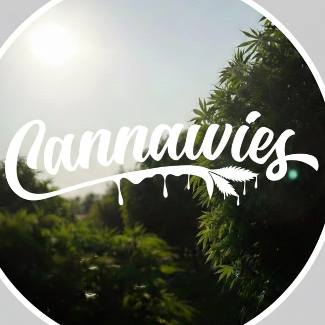 Cannawies