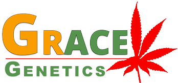 Grace Genetics