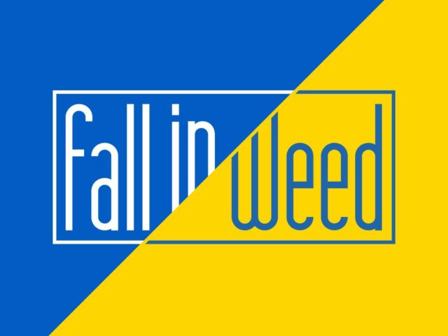 Fall In Weed