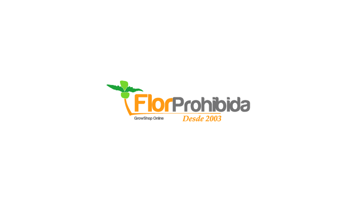 Flor Prohibida Albacete