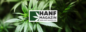 Hanf Magazin