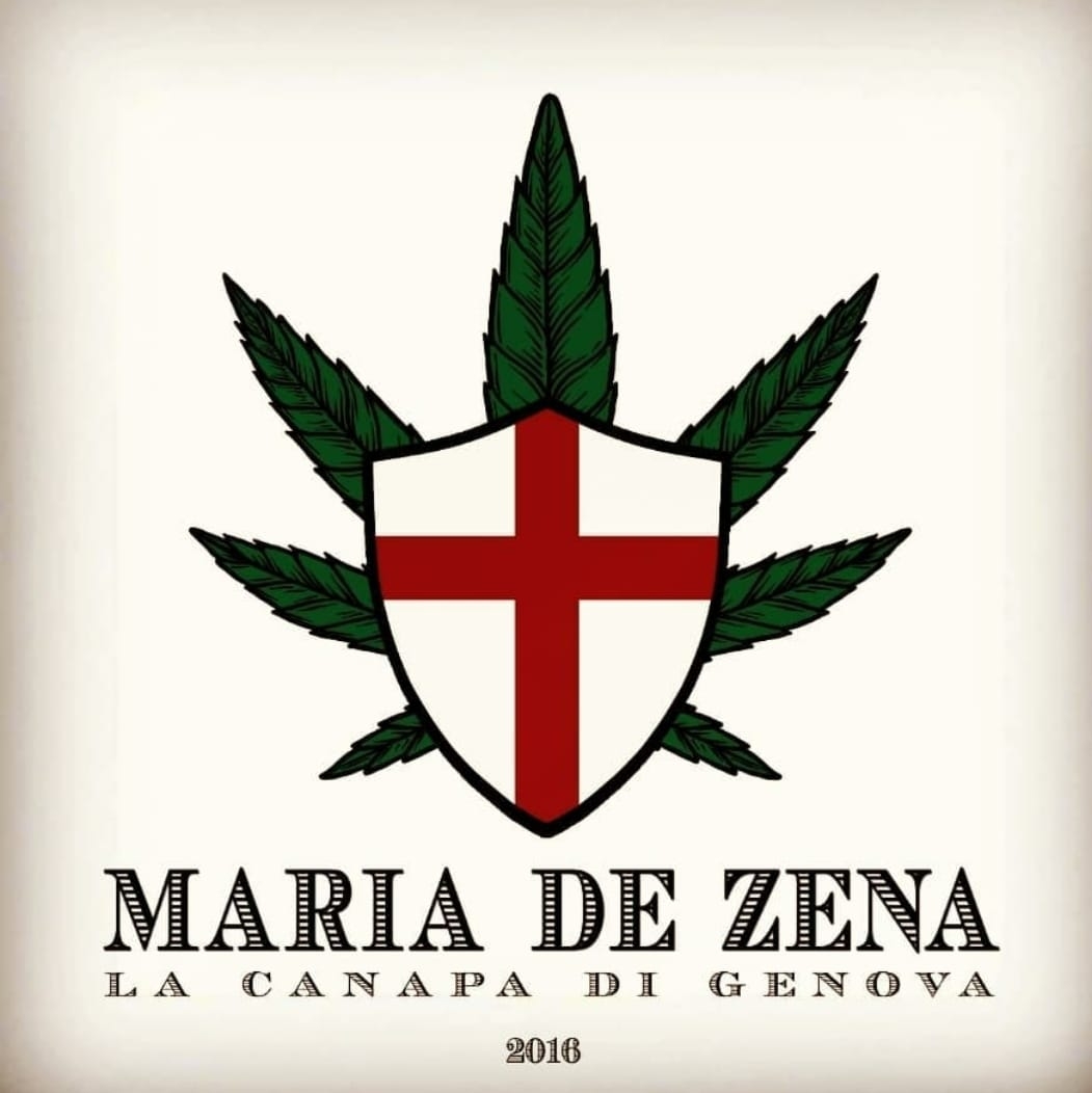 Maria de Zena