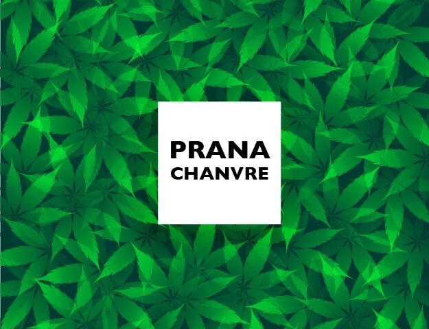 Prana Chanvre