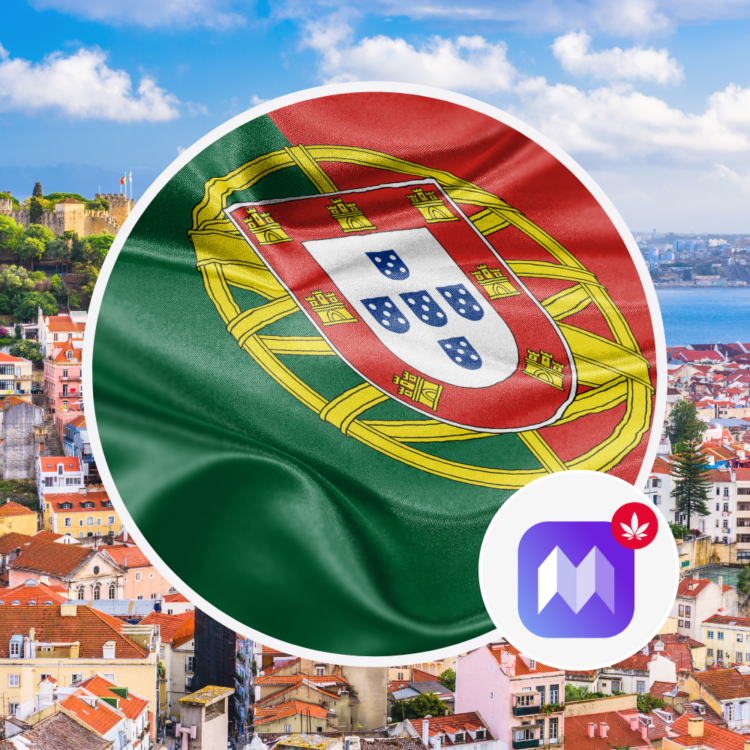 Traduire ma fiche en Portugais