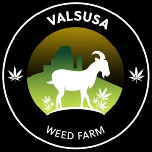 Valsusa Weed Farm